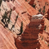 Cedar Breaks 13